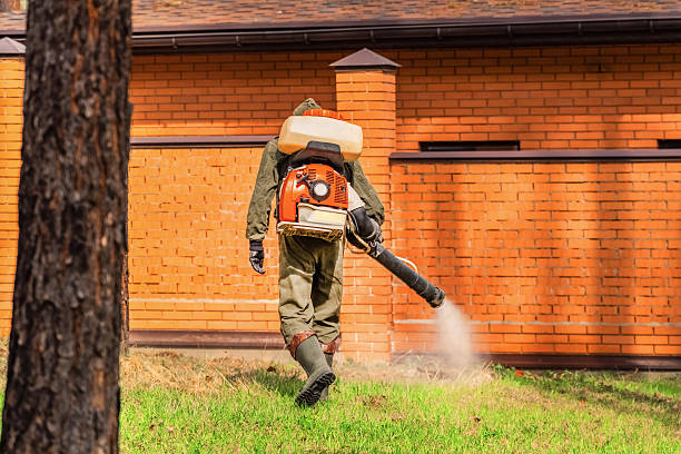 Trusted Mosquito Control service in Collinsville, TX - Nex Pest Control